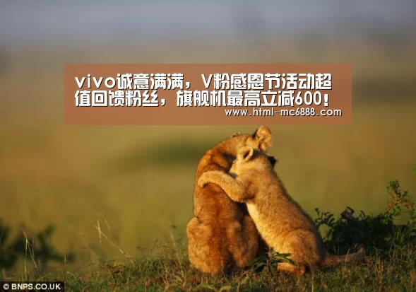 vivo诚意满满,V粉感恩节活动超值回馈粉丝,旗舰机最高立减600!“新葡京”(图3) 新葡京
